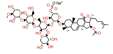 Cucumarioside H6